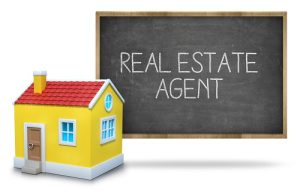 real estate agent 
